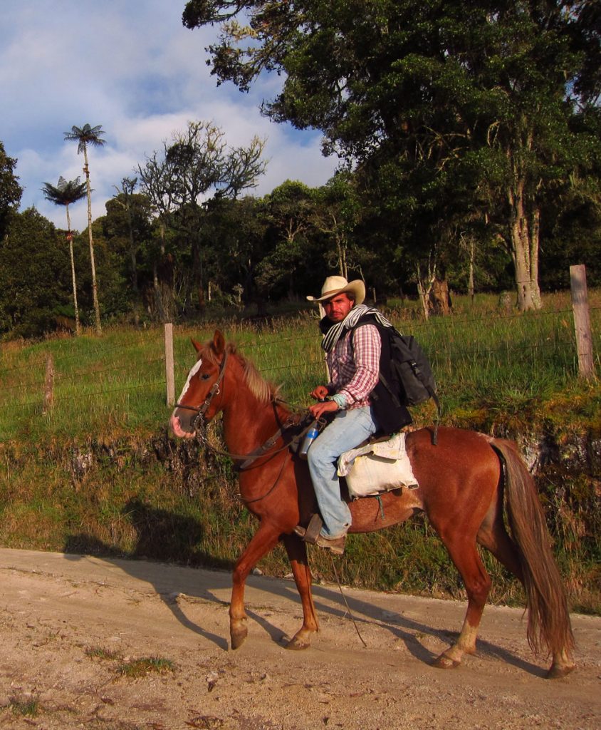 Marc wearing a cowboy hat, checked shirt and jeans, riding Red, a red criollo horse with white blaze. They're on a dusty track next to a field with tall palm trees in the distance